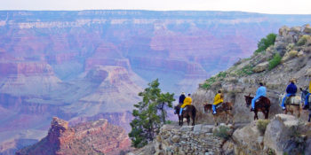 National Park Service