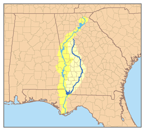 Flint River American Rivers