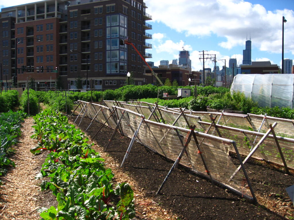 Urban garden | Wikimedia