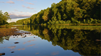 Trees Reflecting on Delaware River