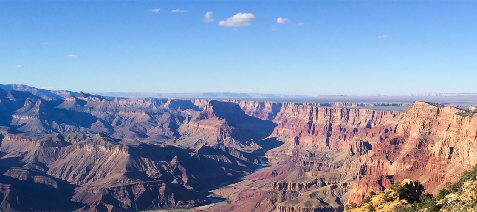 5 Reasons We Need to Fight for the Grand CanyonAgain Biology Diagrams
