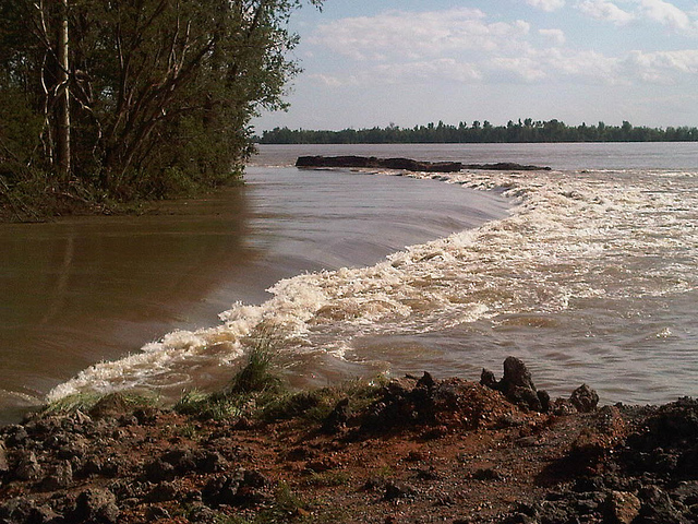 U.S. Army Corps of Engineers