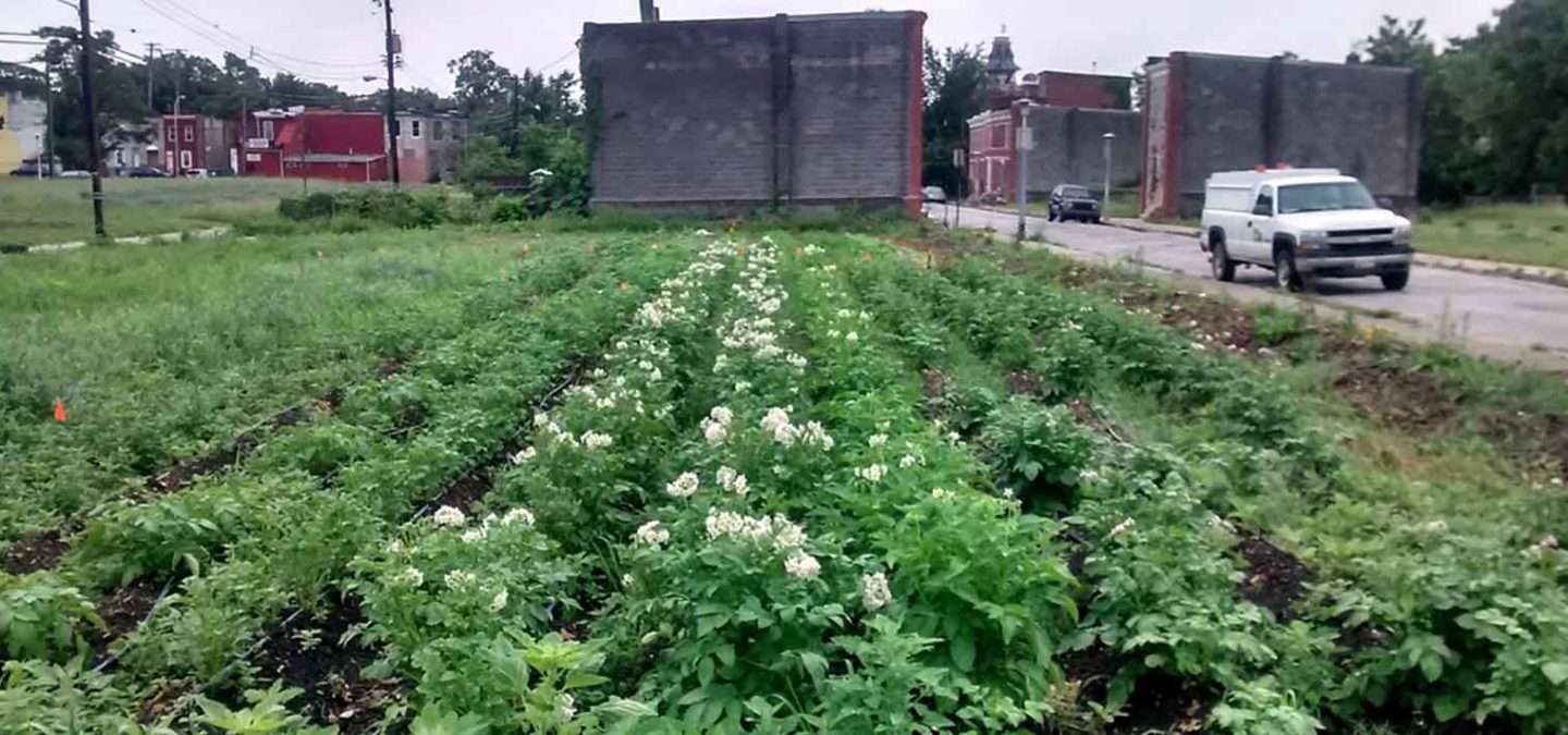 Urban Farms Providing Food and Protecting Watersheds American Rivers