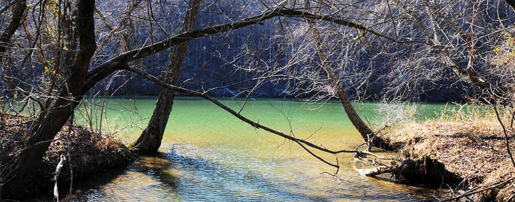 Black Warrior River, AL | Nelson Brooke