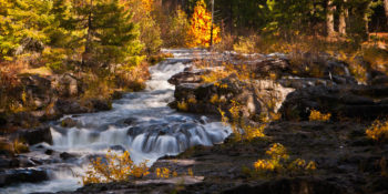 Rogue River, OR | John Bruckman