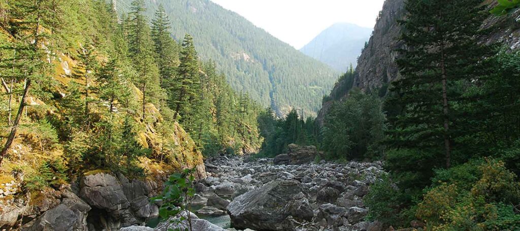 Skagit River "bypass" | Rich Bowers