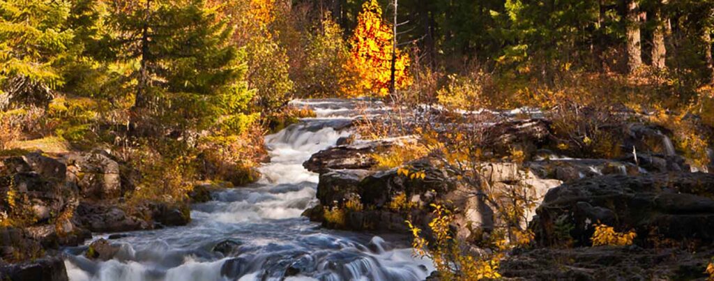 Rogue River shot by John Bruckman