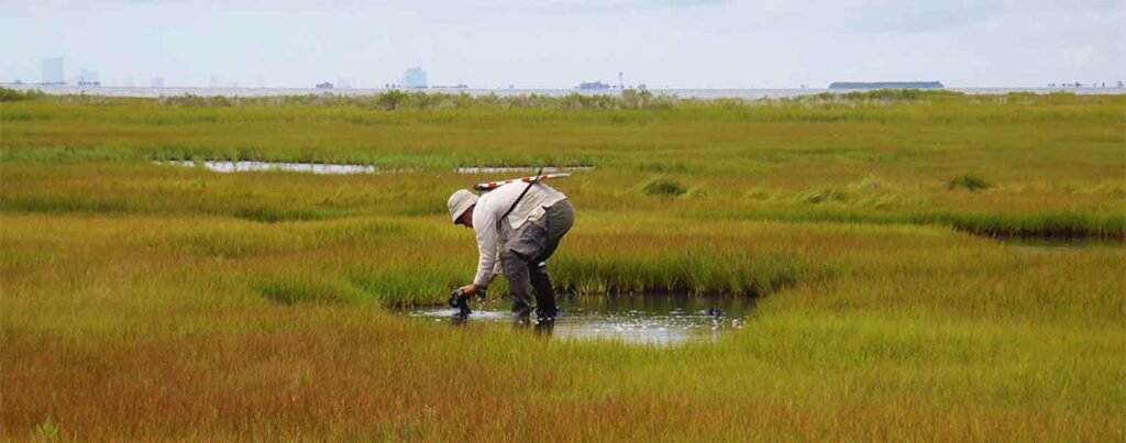 Partnership for the Delaware Estuary