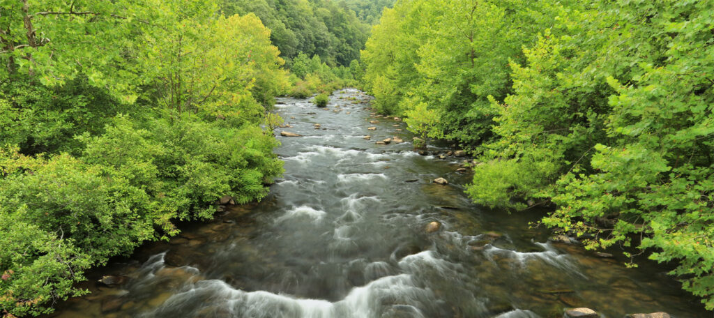 Cheoah River in Nanthahala National Forest, NC