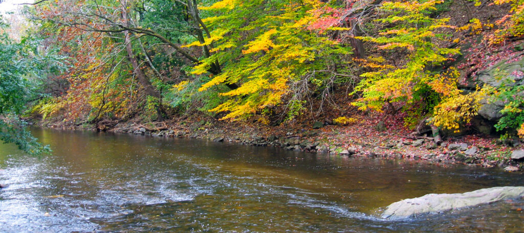Darby Creek