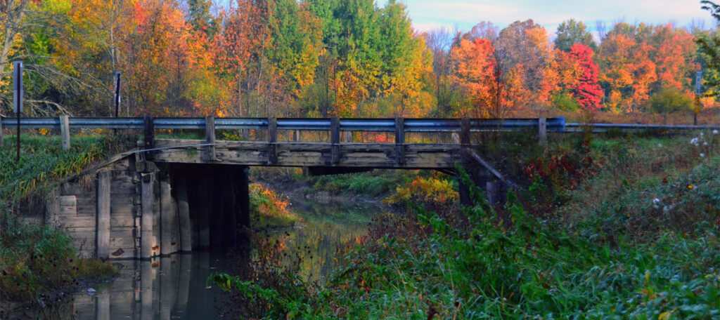 Bridge on the Flint River, MI