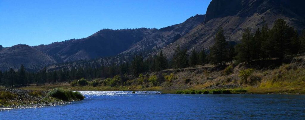 Bureau of Land Management