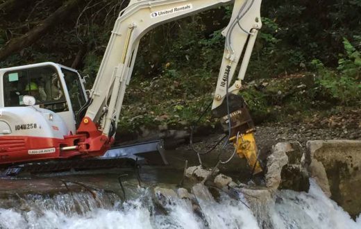Citico Creek dam removal | Gerrit Jobsis