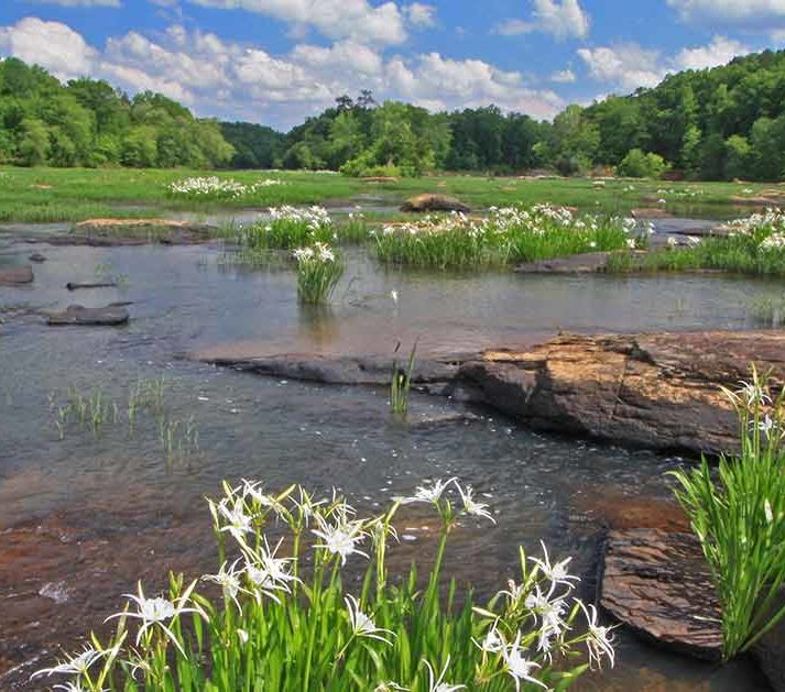 Flint River American Rivers