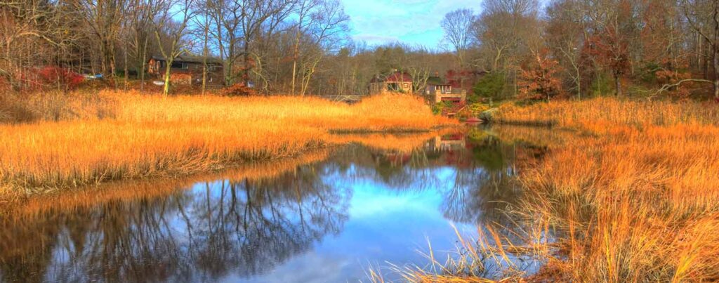 Stream in Branford, CT | Frank Slack