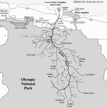 Servicio de Parques Nacionales de Estados Unidos