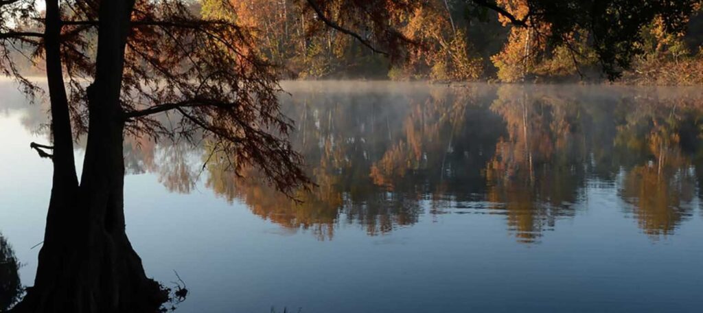 Flint River, GA – Fall Colors | Robin Singletary