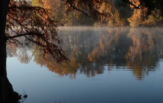 Flint River, GA – Fall Colors | Robin Singletary