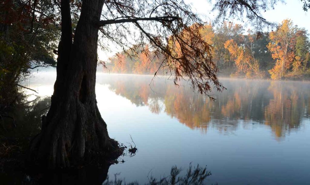 Flint River | GA River Network