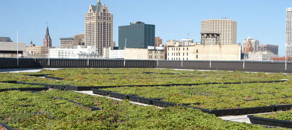 MMSD Green Roof | MMSD