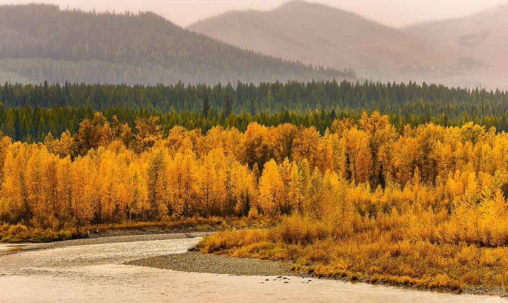 NF Flathead River, Idaho | JD Hascup