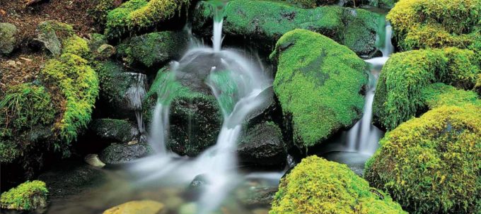 small-stream-header