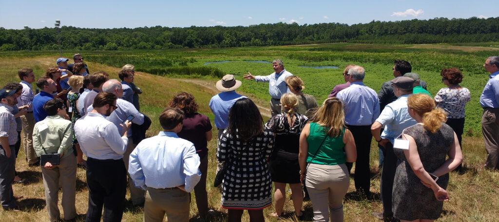 Tour the Clayton County Wetlands| Jeremy Diner