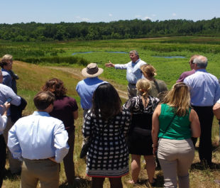 Tour the Clayton County Wetlands| Jeremy Diner