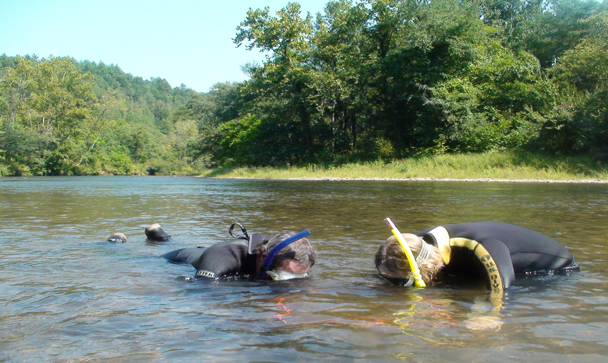 Mussel search on the Little Tennessee River | Gary Peeples/USFWS