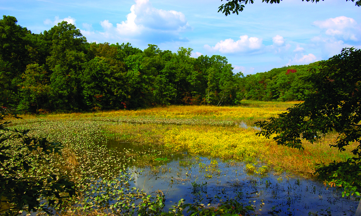 The Potomac River at Mason Neck National Wildlife Refuge | Bill Wallen/USFWS