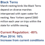 Black Tern Statistics