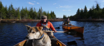 Boundary Waters| Dave Freeman