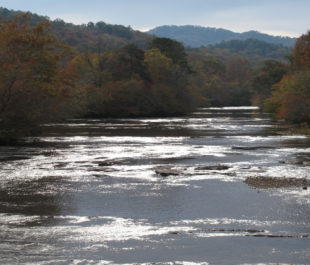 Little Tennessee River | U.S. Fish and Wildlife Service Southeast Region