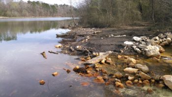 Acid Mine drainage from Maxine Mine. | Nelson Brook, Black Warrior Riverkeeper