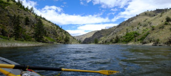 Main Salmon River| Amy Kober