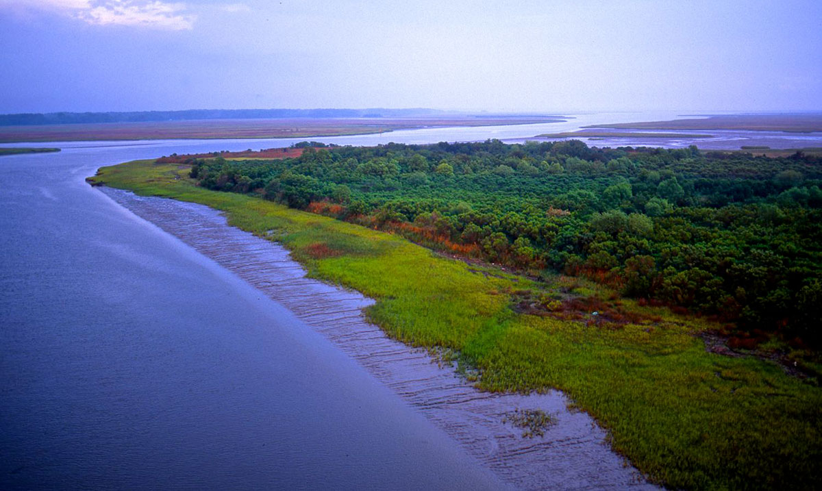 Edisto River - American Rivers