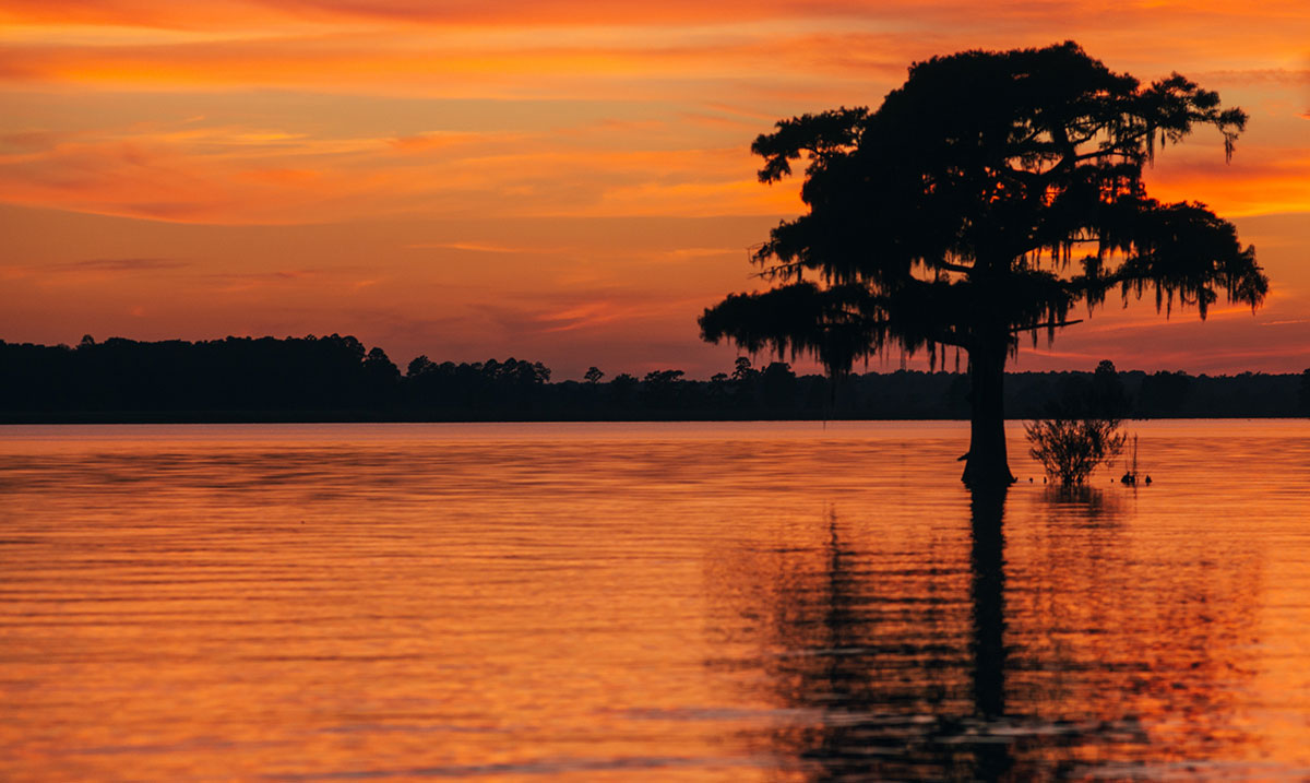 Neuse River - American Rivers