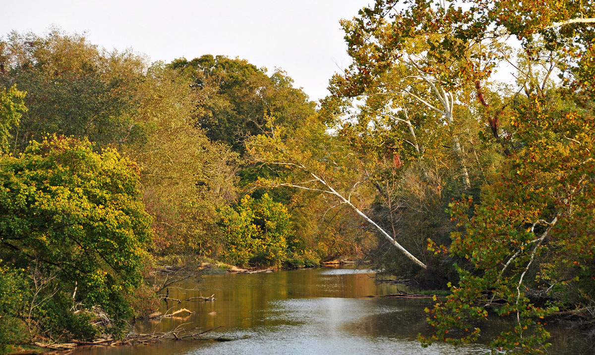 Neuse River Pest Control