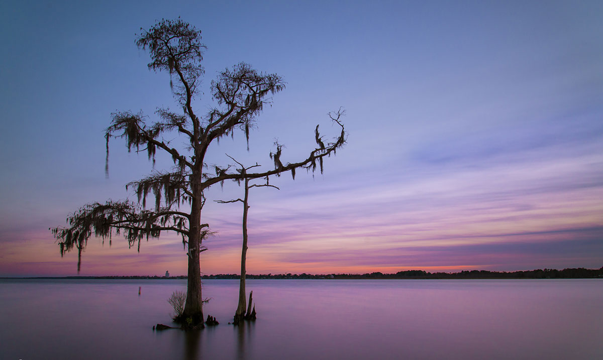 Neuse River American Rivers