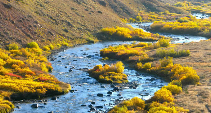 Taylor Fork, Montana (tributary to the Gallatin River) | Scott Bosse