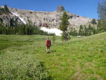 AR's Max Odland conducts a meadow assessment in Granite Chief Wilderness in the American River watershed. | Bonnie Ricord