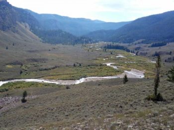 Crystal Creek Meadows, WY | Steve White