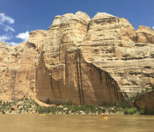A stunning wall rises stoically above the Yampa River, northwestern Colorado | Sinjin Eberle