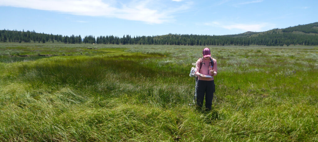 Examining Sardine Valley in the Truckee River watershed | Max Odland