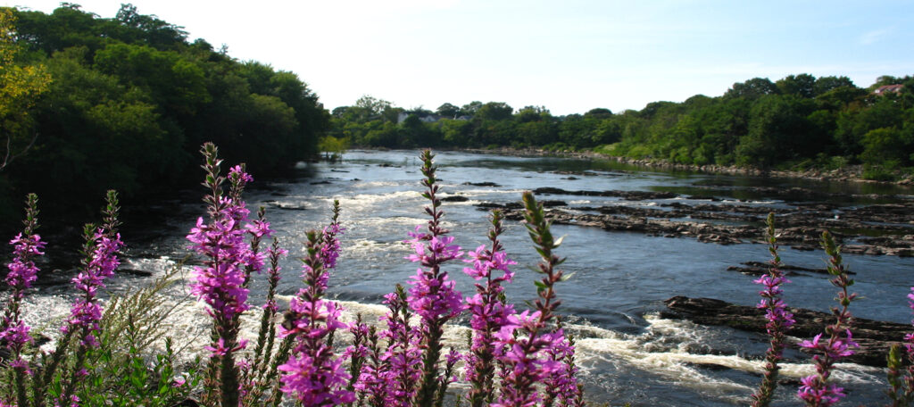 Merrimack River|Keith Curley