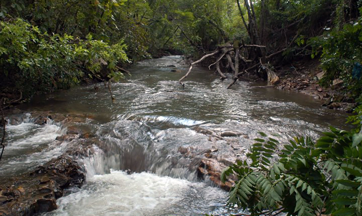 Black Warrior River American Rivers