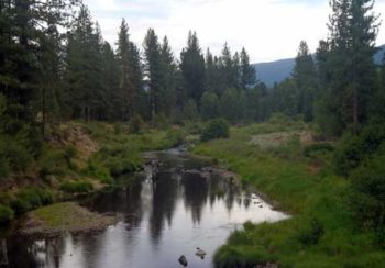 Feather Wild and Scenic River, CA | Steve White