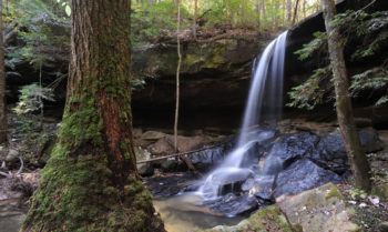 Turkey Foot Creek in the Sipsey Wilderness | Black Warrior Riverkeeper