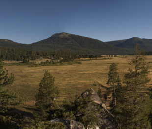 Panorama of Hope Valley Meadow looking north from the very upper end of the meadow. | Daniel Nylen