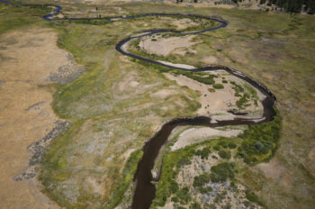 Oblique view looking North at a section of river that will receive streambank stabilization treatments. | Daniel Nylen 